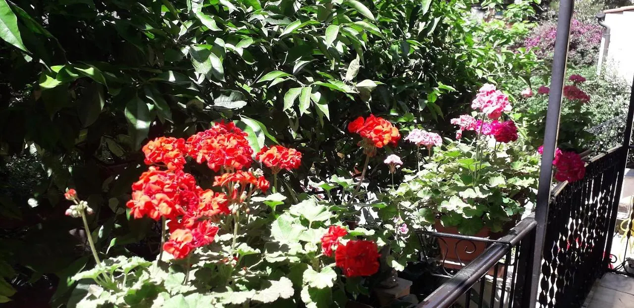 Gioia Bed&Breakfast Roma 2*,