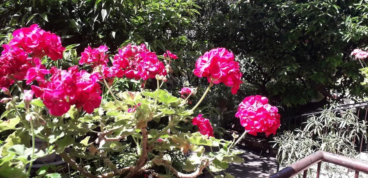 Gioia Bed&Breakfast Roma 2*,  Italia